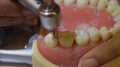 Pediatric Dentistry hands-on workshop at IADSR
