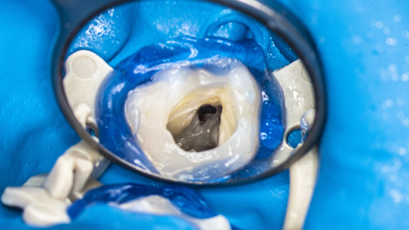 Fig. 8
