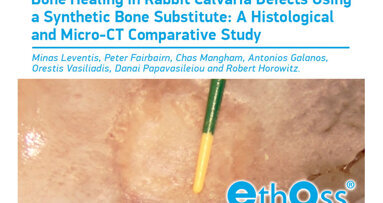 Bone Healing in Rabbit Calvaria Defects Using a Synthetic Bone Substitute