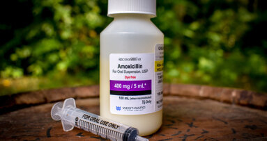 Endocarditis risk is not heightened with reduced antibiotic administration