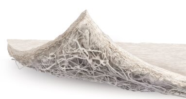 Innovations in biomaterials aim to advance oral regeneration