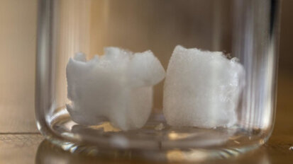 Plant cellulose might provide new bone material to be used for dental implants