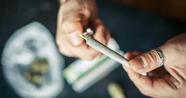 Regular cannabis users may require higher anaesthetic doses for oral surgery