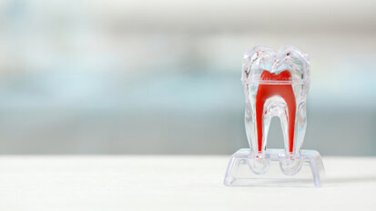 Researchers discover method to control tooth root development
