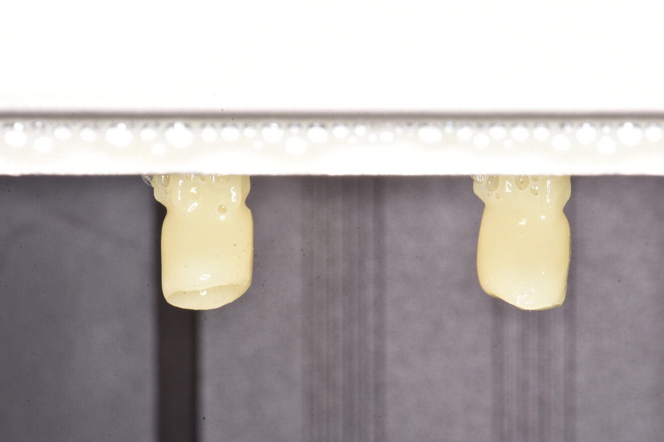 Fig. 4a: Crowns 3D-printed from Tera Harz C & B R-191. Crowns on the build platform after printing.