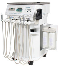 Tandem water disinfection system