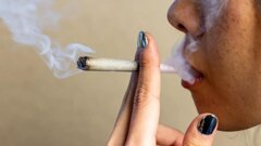 Uporaba konoplje in njen vpliv na ustno zdravje: kaj kažejo znanstveni dokazi
