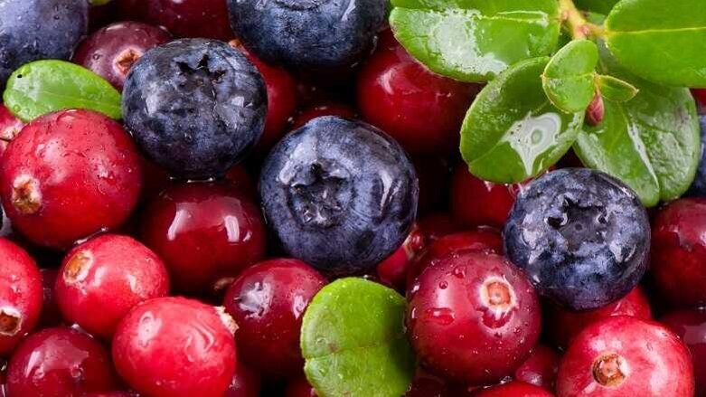 Estudo indica potencial de extrato de berry para combater bactérias dentárias