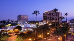 CDA Presents Spring Meeting 2024