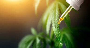 Cannabidiolo: alla ricerca di un nuovo analgesico non oppioide