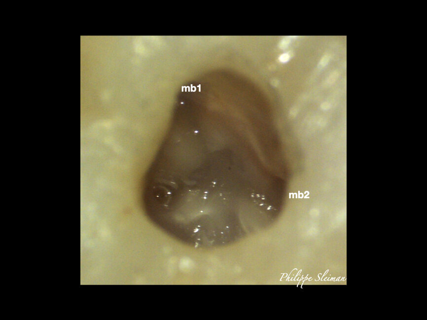 Fig. 5