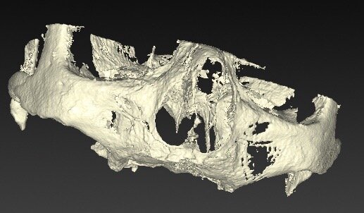 Fig. 1b