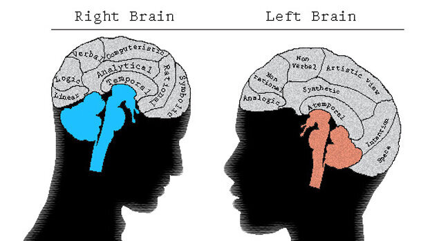 Esthetics and the brain