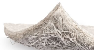 BioHorizons Camlog launches Striate+ collagen membrane
