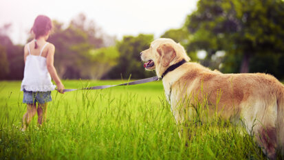 Norwegian study focuses on dog-assisted therapy in the dental practice