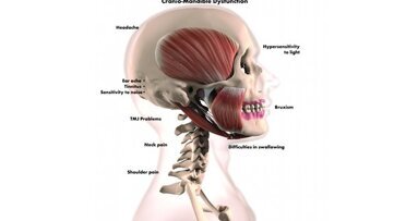 L’importance de l’occlusion