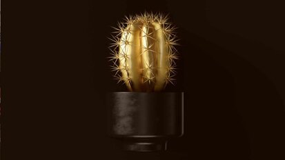 „Goldener Kaktus“ geht an die Versicherungskammer Bayern