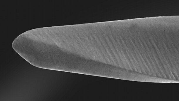Endodontie en 2015 : Sécurisez vos traitements canalaires avec One G et One Shape®
