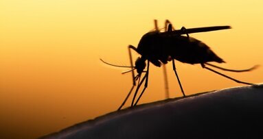 Toothpaste ingredient triclosan may help fight drug-resistant malaria