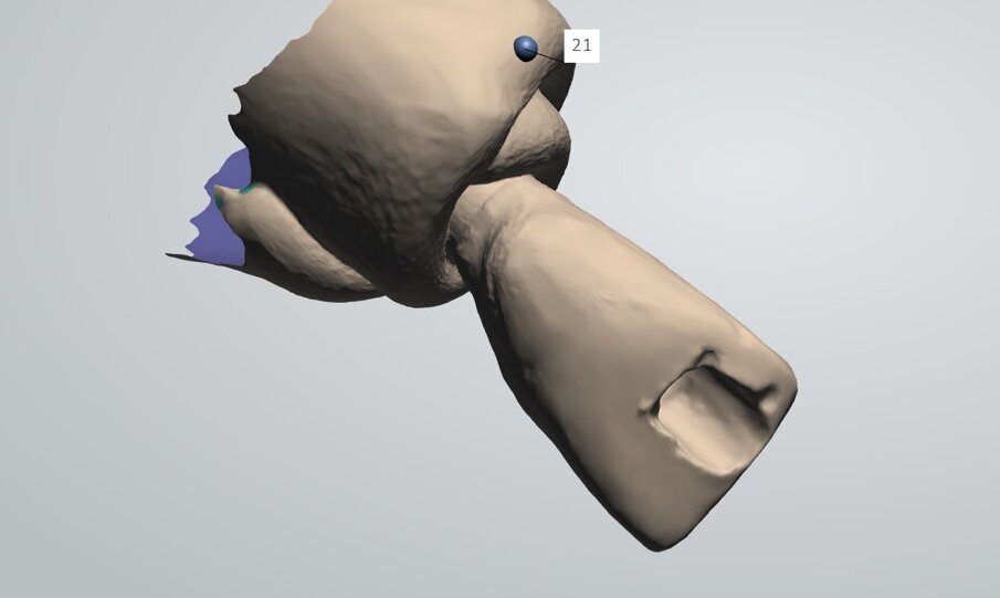 Fig. 33