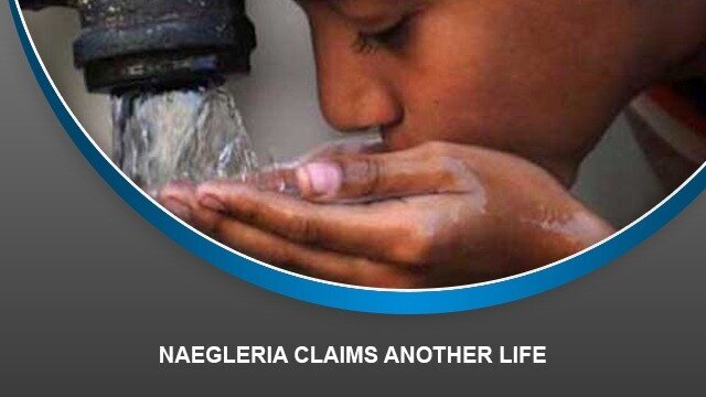 Naegleria claims another life