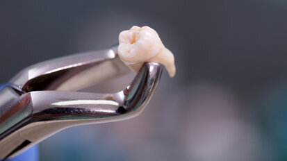 Macrolide-based molecules drive bone regeneration