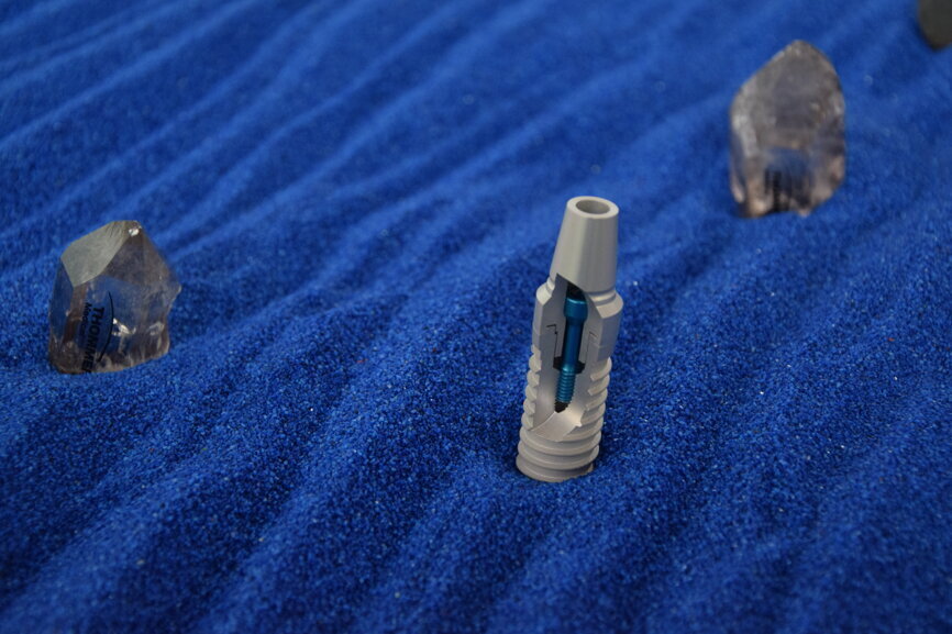 An implant solution from Thommen Medical. (Photograph: Franziska Beier, DTI)