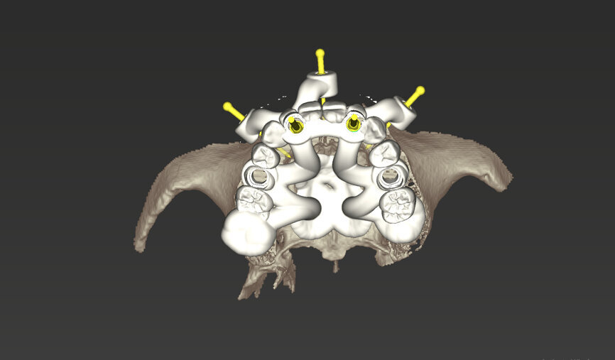 Fig. 13