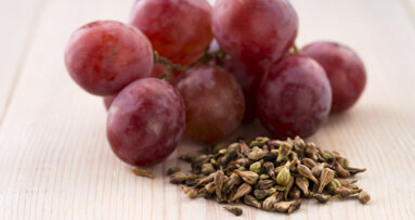 Grape seeds may be key to increasing durability of dental fillings