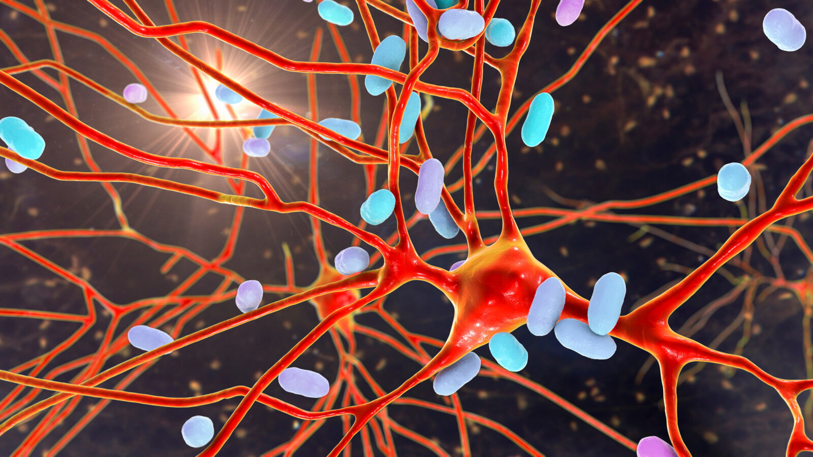 Uno studio identifica i batteri orali che riducono l’immunità antivirale nel cavo orale