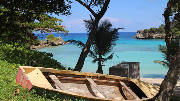 AAIP hosts implant seminars in Jamaica