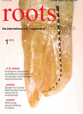 roots C.E. No. 1, 2013