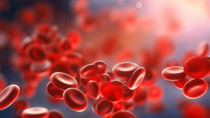 International Blood Concentrate Day 2024: Innovationen in der Zahnmedizin