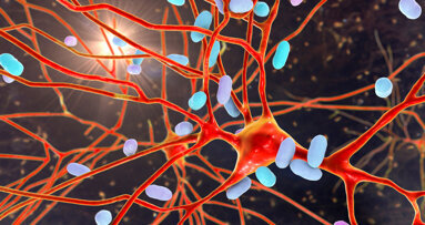 Study identifies oral bacteria that lower antiviral immunity in oral cavity