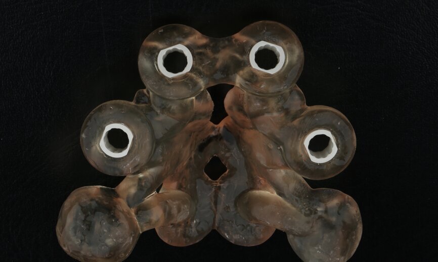 Fig. 19