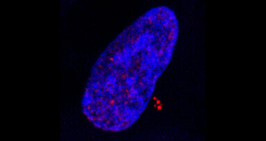 Infection par le virus d’Epstein-Barr: un nouveau mode de transformation cancéreuse