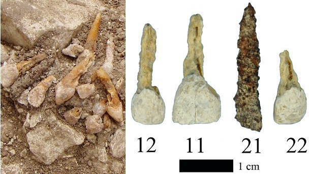 Arqueólogos descubren un implante dental