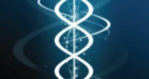 Recherches : Bientôt un laser pour évaluer la santé dentaire