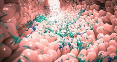 The oral–gut microbiota axis: the harbinger of autoimmune diseases