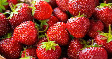 New research explores effect of strawberries in oral cancer therapy