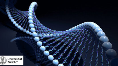 Reparaturmechanismus der DNA entschlüsselt