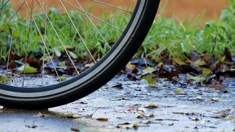 Column Reinier van de Vrie: Borrel voor de natuur