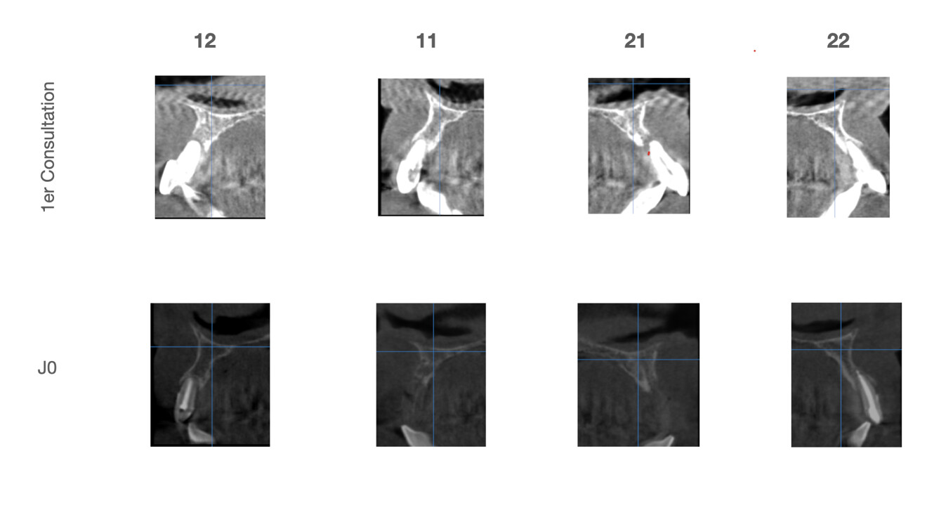 Fig. 10