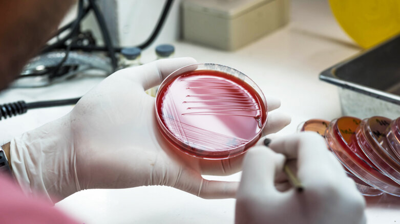 Research reveals the power of the body’s defense systems