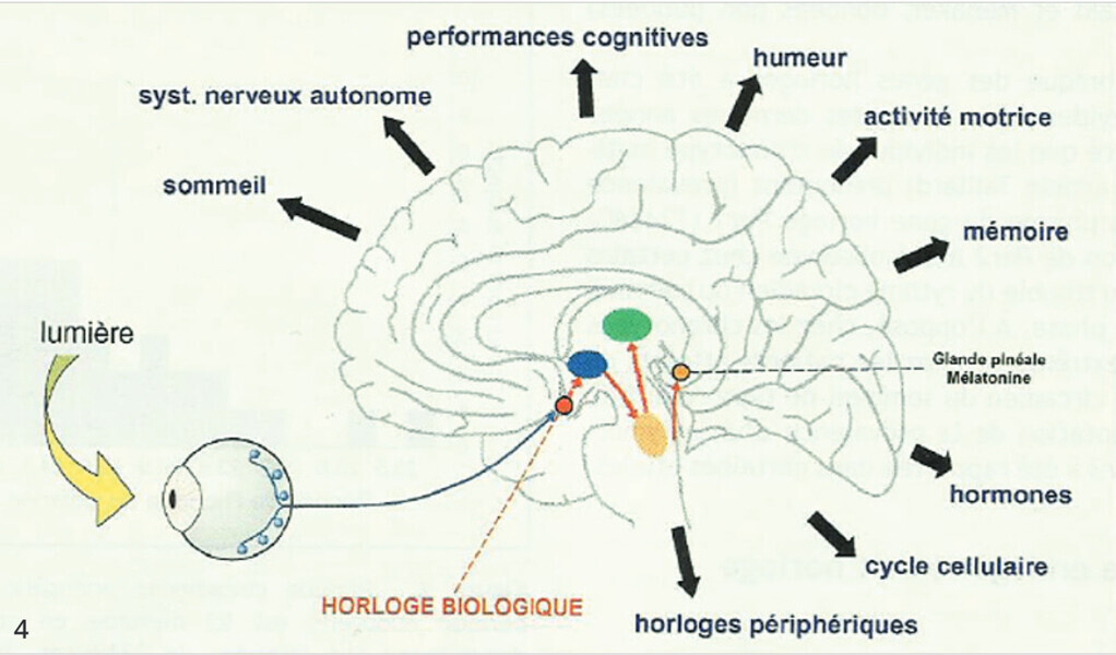 Fig. 4