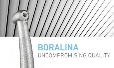 Boralina