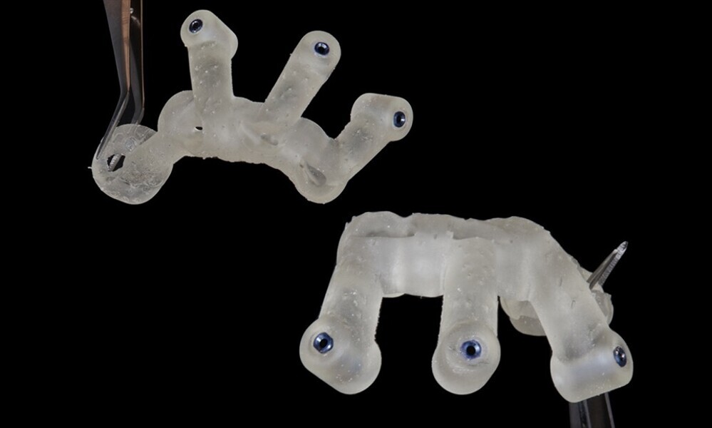 Fig. 25
