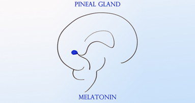II Workshop sulla Ghiandola Pineale: “Melatonina: applicazioni cliniche”