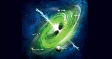 Mastering black holes with premium endo-brands