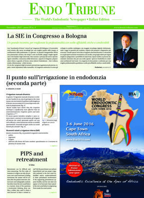 Endo Tribune Italy No. 1, 2015
